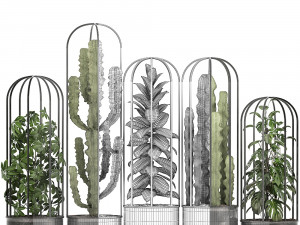 collection of exotic plants Model 3D