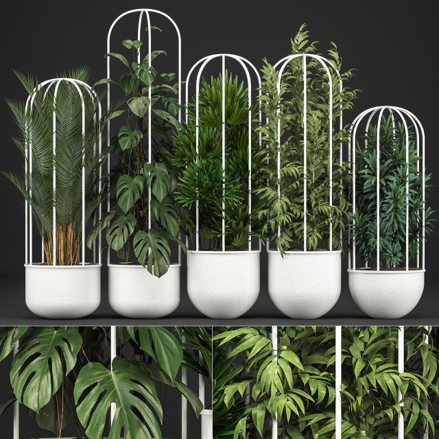 collection of exotic plants 3Dモデル .c4d .max .obj .3ds .fbx .stl .blend 