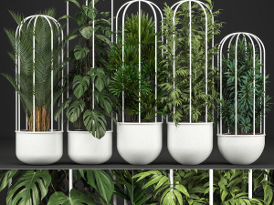 collection of exotic plants 3D Модель