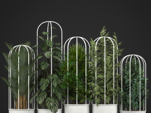 collection of exotic plants 3Dモデル