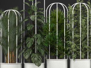 collection of exotic plants 3Dモデル