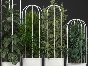 collection of exotic plants 3Dモデル