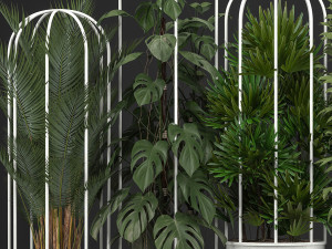 collection of exotic plants 3Dモデル