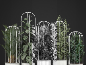 collection of exotic plants 3Dモデル