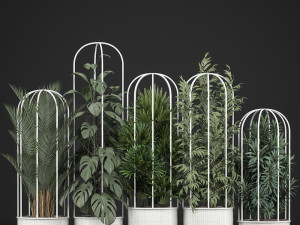 collection of exotic plants 3Dモデル
