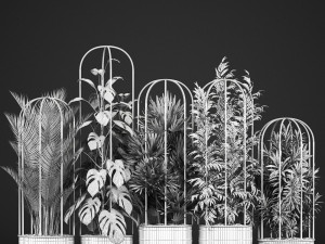 collection of exotic plants 3Dモデル