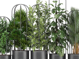 collection of ornamental plants exotic plants 3D Model
