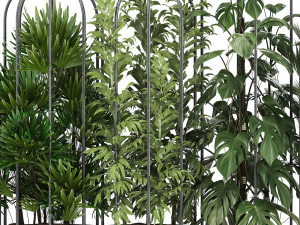 collection of ornamental plants exotic plants 3D Modell
