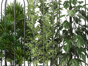 collection of ornamental plants exotic plants 3D Model