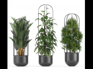 collection of ornamental plants exotic plants 3D Model