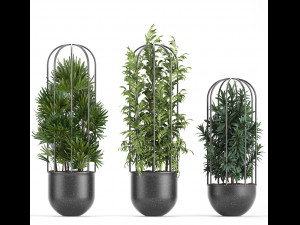 collection of ornamental plants exotic plants 3D Modell