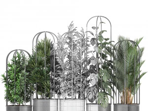 collection of ornamental plants exotic plants 3D Model