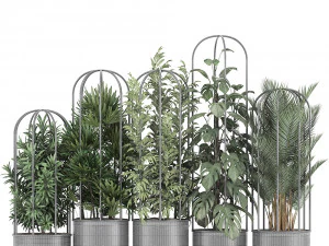 collection of ornamental plants exotic plants 3D Model