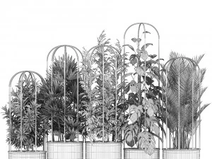 collection of ornamental plants exotic plants 3D Model