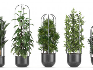 collection of ornamental plants exotic plants 3D Modell