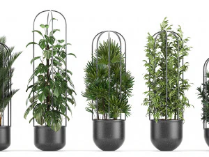 collection of ornamental plants exotic plants 3D Model