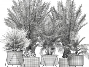 collection of ornamental plants and exotic plants Model 3D