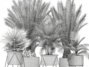 collection of ornamental plants and exotic plants 3D Model