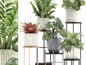 collection of exotic plants 3D Модель