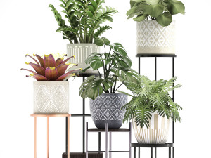 collection of exotic plants Modelo 3D