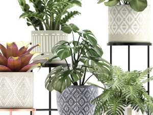 collection of exotic plants Modelo 3D