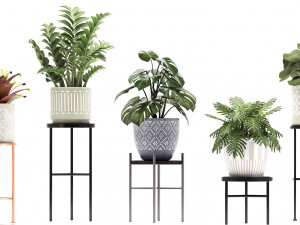 collection of exotic plants Modelo 3D