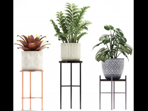 collection of exotic plants Modelo 3D