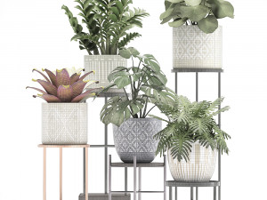 collection of exotic plants Modelo 3D