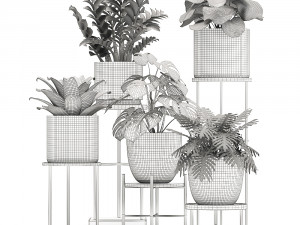 collection of exotic plants Modelo 3D