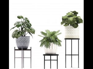 collection of exotic plants Modelo 3D