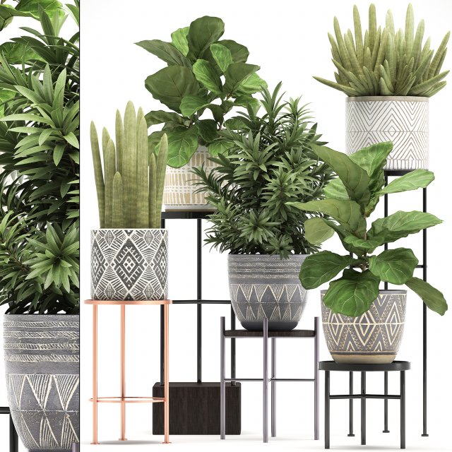 collection of exotic plants 3D Модель .c4d .max .obj .3ds .fbx .stl .blend 