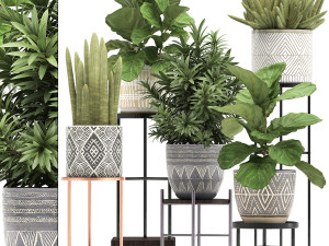 collection of exotic plants Modelo 3D