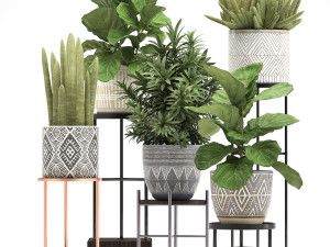 collection of exotic plants 3D Модель