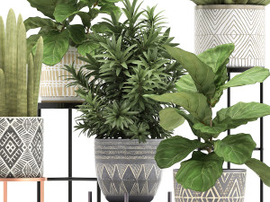 collection of exotic plants 3D Модель