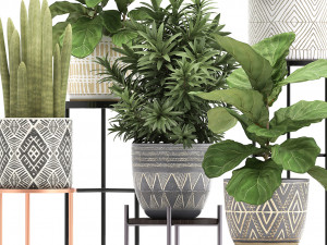 collection of exotic plants 3D Модель