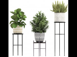 collection of exotic plants 3D Модель