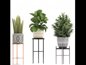collection of exotic plants 3D Модель