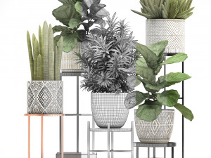 collection of exotic plants 3D Модель