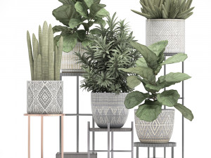 collection of exotic plants 3D Модель