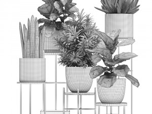 collection of exotic plants 3D Модель