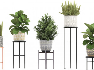 collection of exotic plants 3D Модель