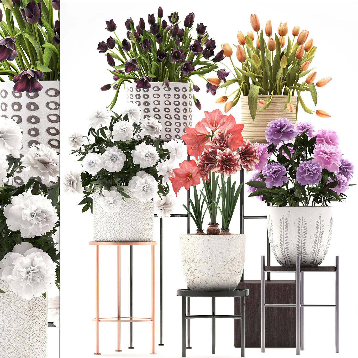 a collection of flowers in pots for the interior 3D Model .c4d .max .obj .3ds .fbx .stl .blend 