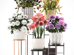 a collection of flowers in pots for the interior 3D Model