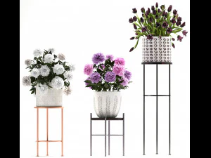 a collection of flowers in pots for the interior 3D Model