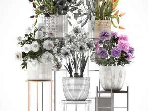 a collection of flowers in pots for the interior 3D Model