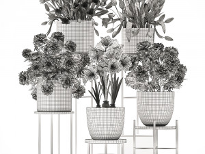 a collection of flowers in pots for the interior 3D Model