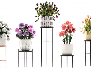 a collection of flowers in pots for the interior 3D Model