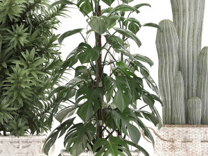 collection of exotic plants Model 3D