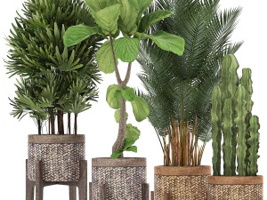 колекція екзотичних рослин 3D Модель