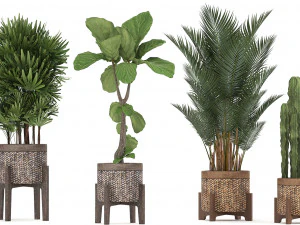 collection of exotic plants 3D Model